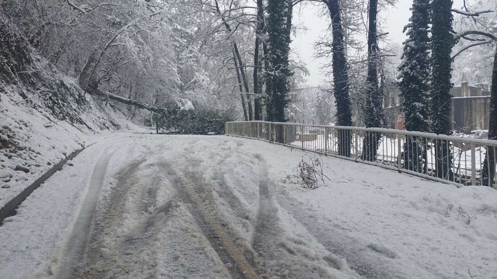 Dobrovoljno Vatrogasno Društvo Velika