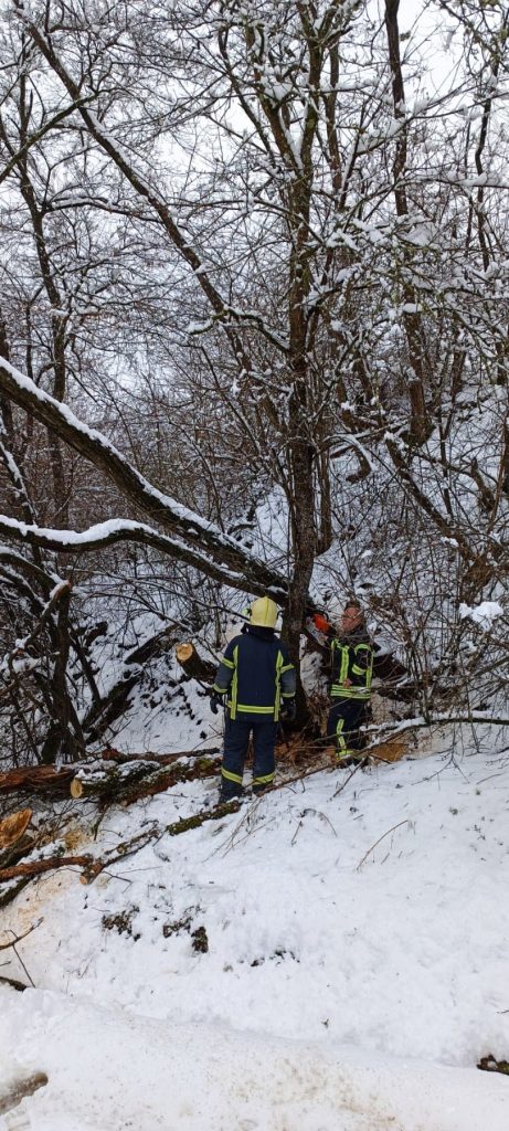 Dobrovoljno Vatrogasno Društvo Velika