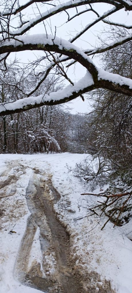 Dobrovoljno Vatrogasno Društvo Velika